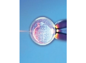 Embrioni, una strage
non casuale
